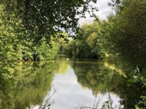 Beckford Nature Reserve. Photo© Mark McCauley