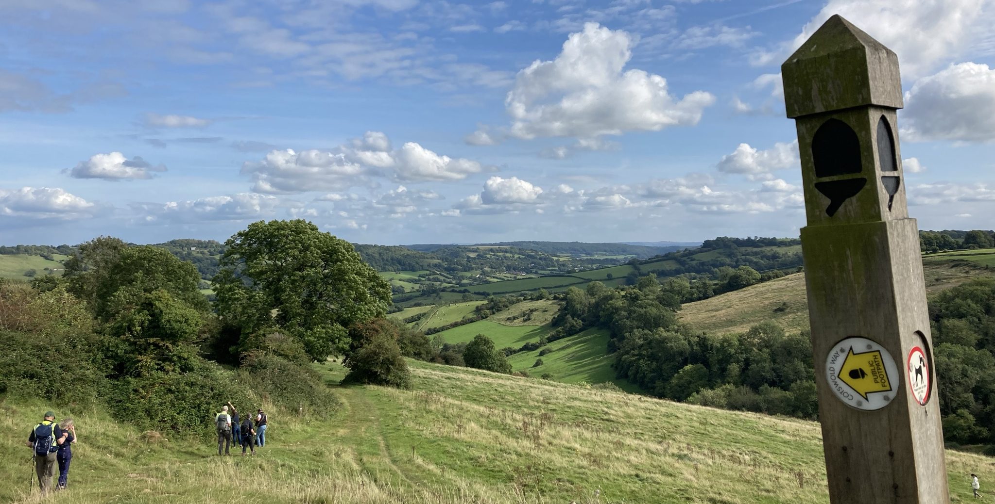 A view from the Cotswold Way with blue skies and green rolling fields in the distance. Photo by Nicole Daw.