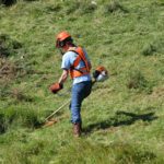 One of the team members brushcutting in a field wearing orange protective helmet and gloves