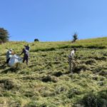 3 Volunteers clearing sythed grass on a hill side with blue skies above.