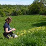 Volunteer kneeling on a slope undertaking a botanical survey, with yellow flowers stretching out in front along a lush green field surrounded by trees