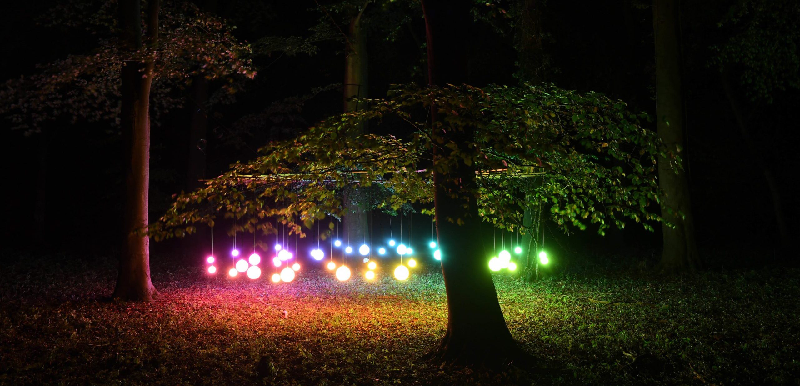 Red, white, blue, yellow and green globe shaped lights among the trees (suspended on rails just above the wooldand leaf covered floor ), lighting up the dark wooded area with a mesmerising colourful glow.