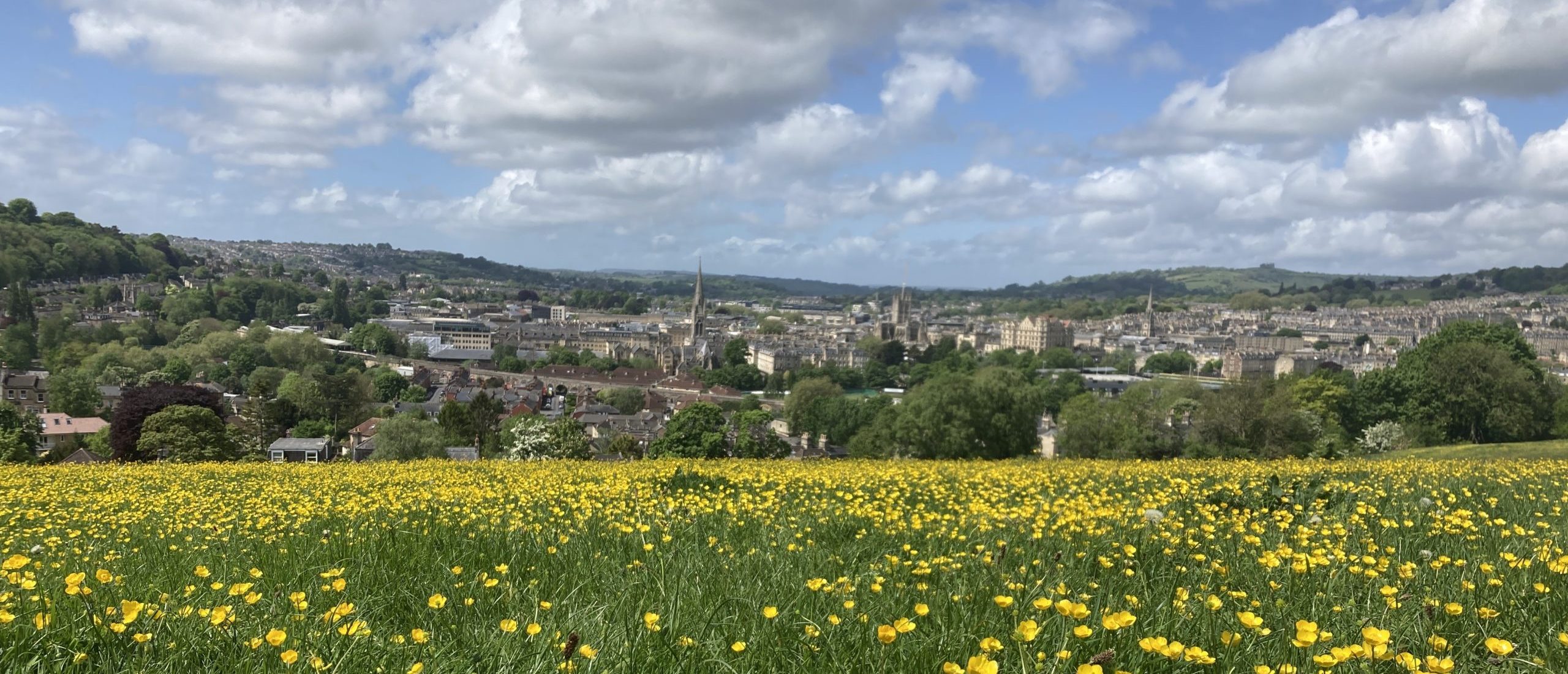 Green field of yellow buttercups looking down to the variety of buildings of Bath including Bath Abbey tower in the centre