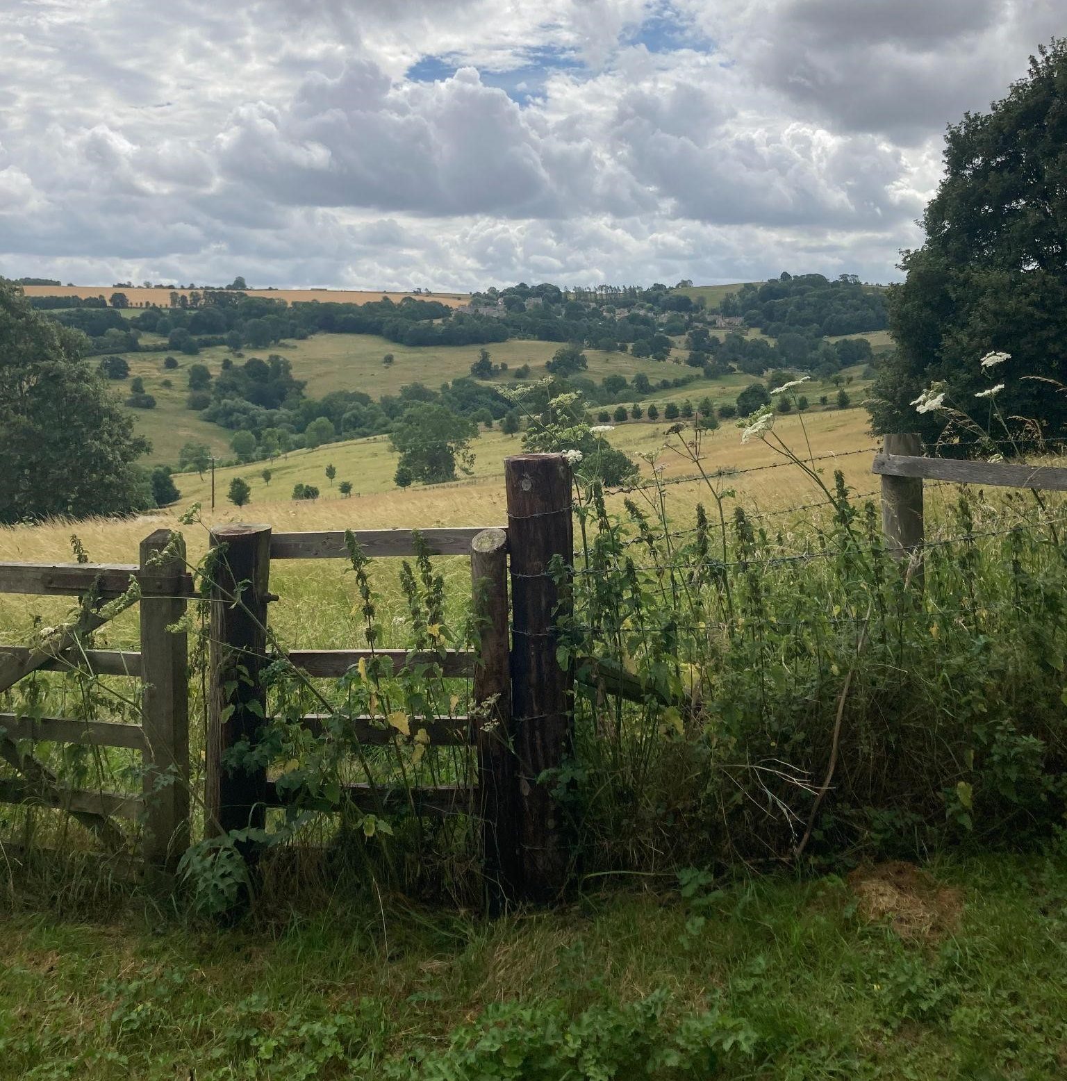 Images shows a view during a walk from Stanton to Snowshill in the Cotswolds. In the foreground, there's a wooden gate, and beyond the gate there are green and yellow fields and a wide view beyond.