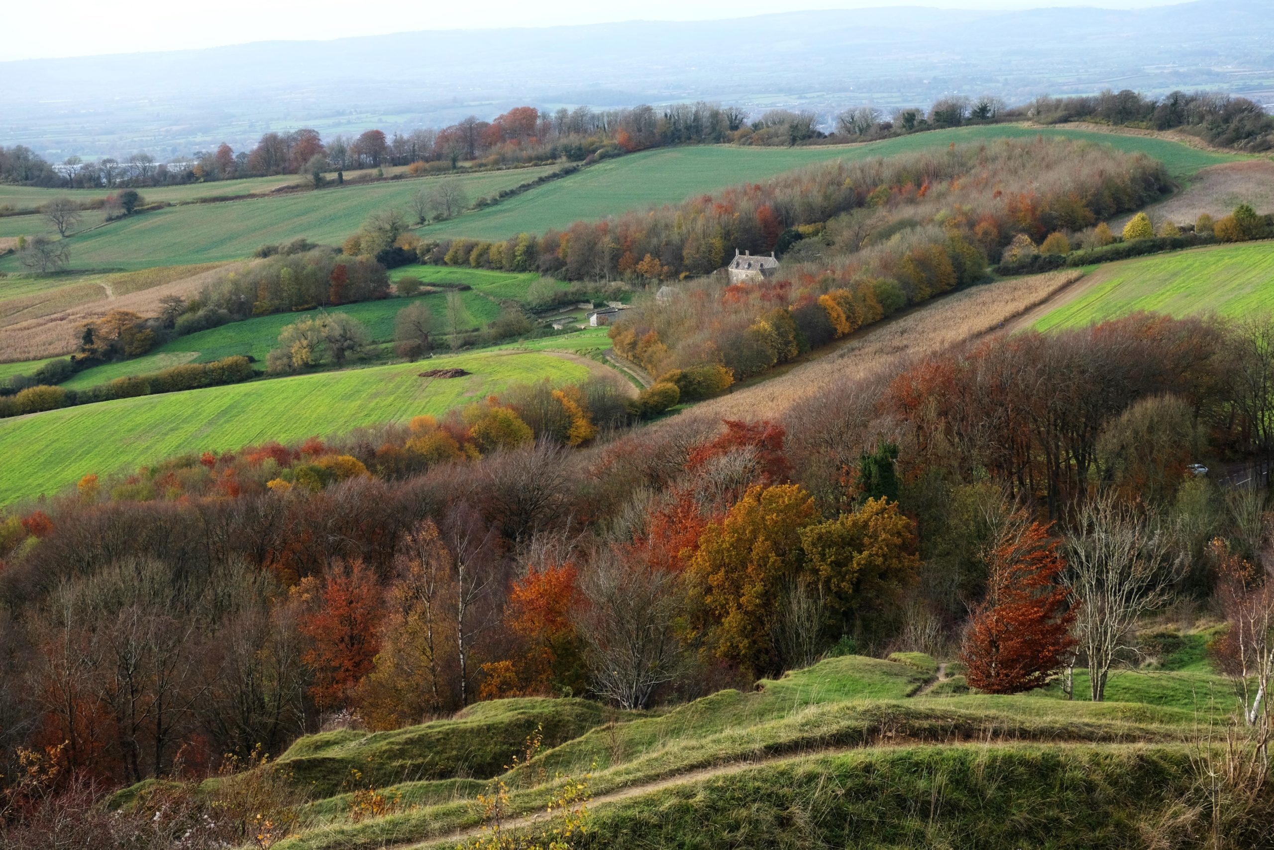 Landscape image of Painswick Beacon, taken in the autumn. The fields are green, and the trees are displaying autumnal colours.