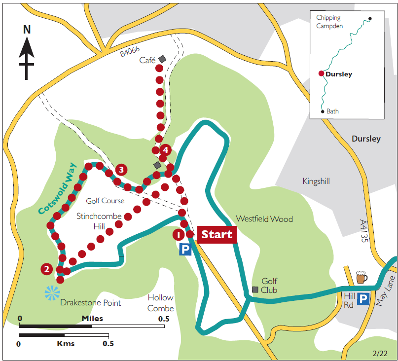 Stinchcombe Hill Leaf & Ground – Cotswold Way Circular Walk