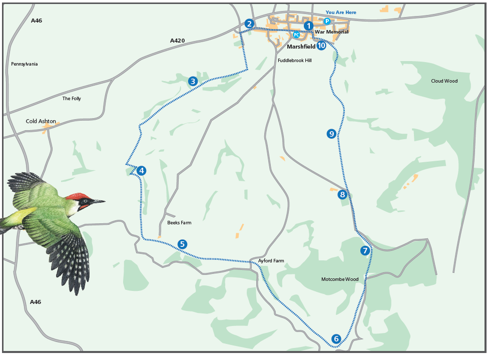 Circular walk to St Catherine’s Valley (Cotswold Gateway Marshfield Walk 3)