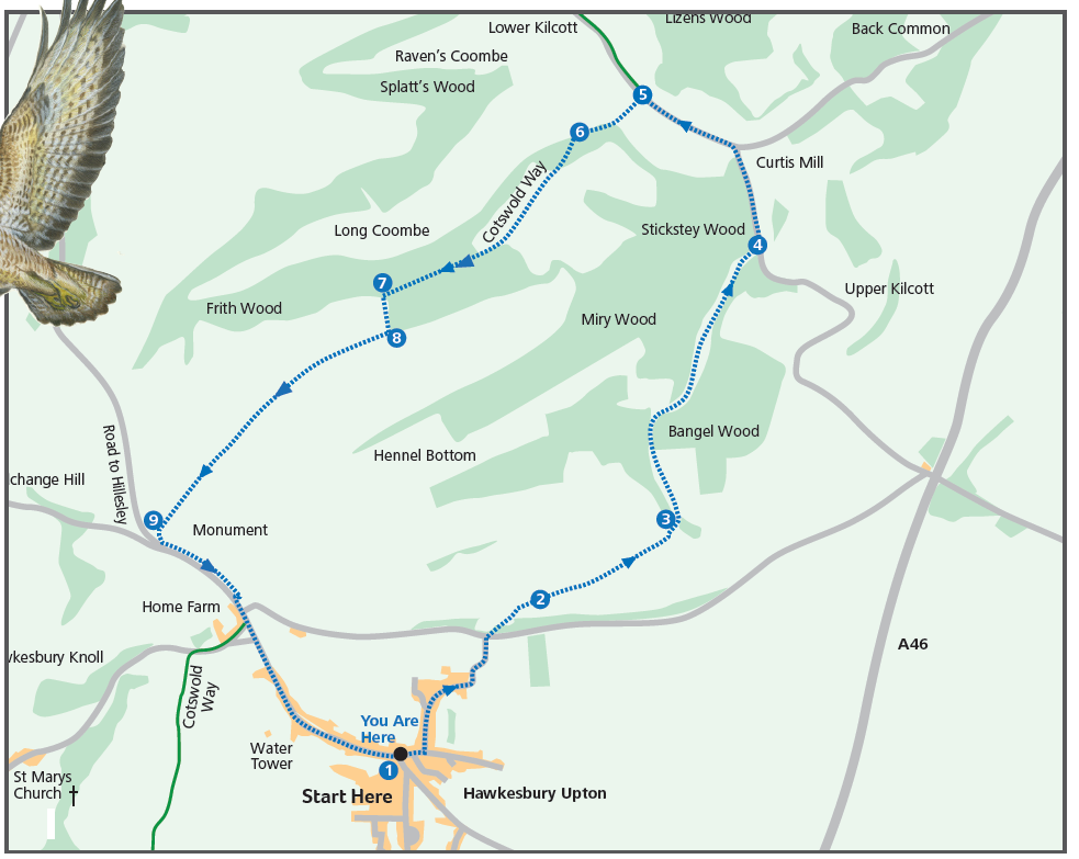 Circular via Kilcott (Cotswold Gateway Hawkesbury Upton Walk 1)