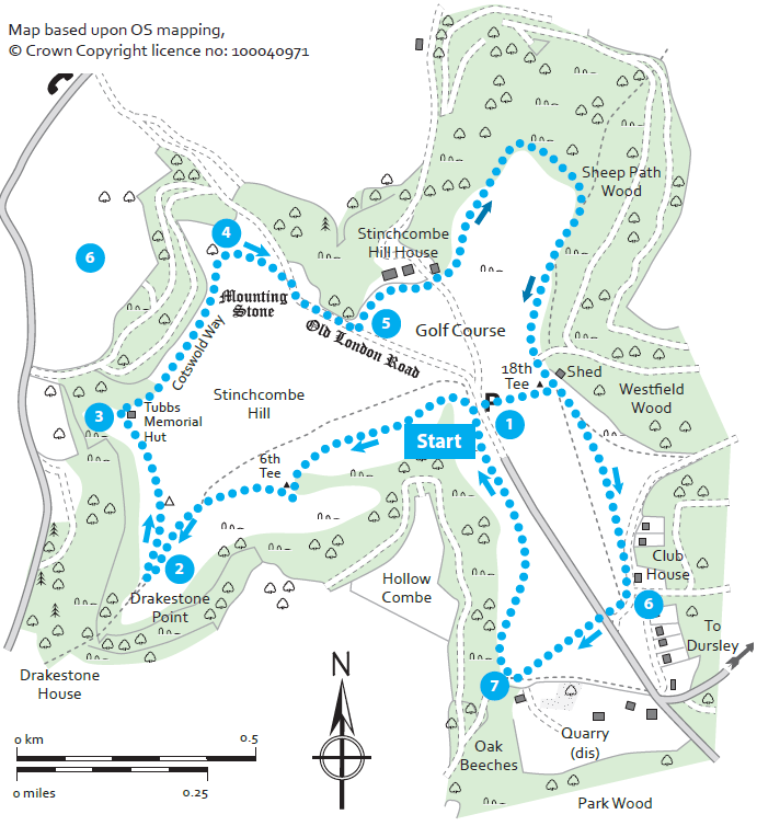 Sir Stanley Tubbs, Stinchcombe Hill - Miles without Stiles