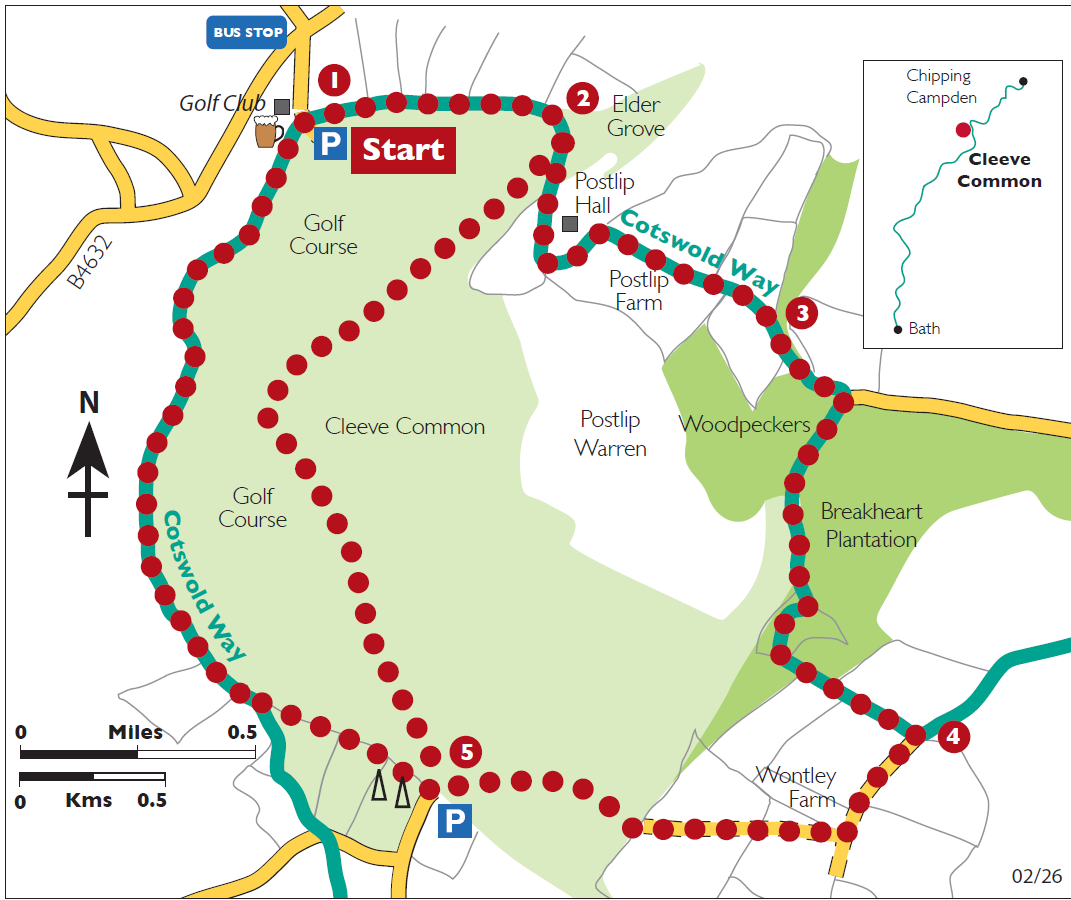 Cleeve Hill Common ring - Cotswold Way Circular Walk
