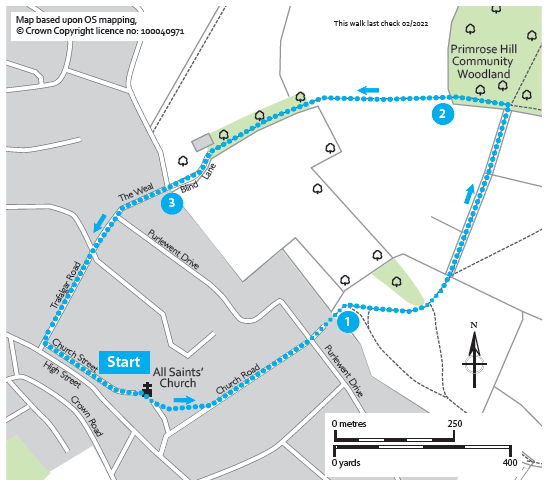 Weston to Primrose Hill Climb (Bathscape Walk 3)