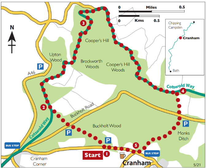 Cranham, Cooper's and the Beechwoods - Cotswold Way Circular Walk