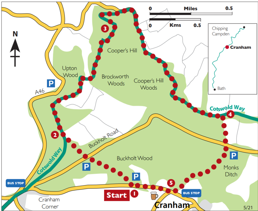 Cranham, Cooper's and the Beechwoods - Cotswold Way Circular Walk