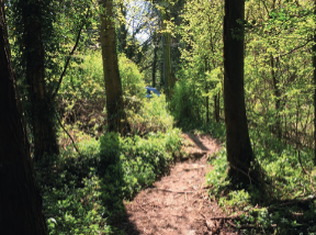 Baunton and Ragged Hedge Wood (Cirencester Ramblers Walks around Cirencester 2)