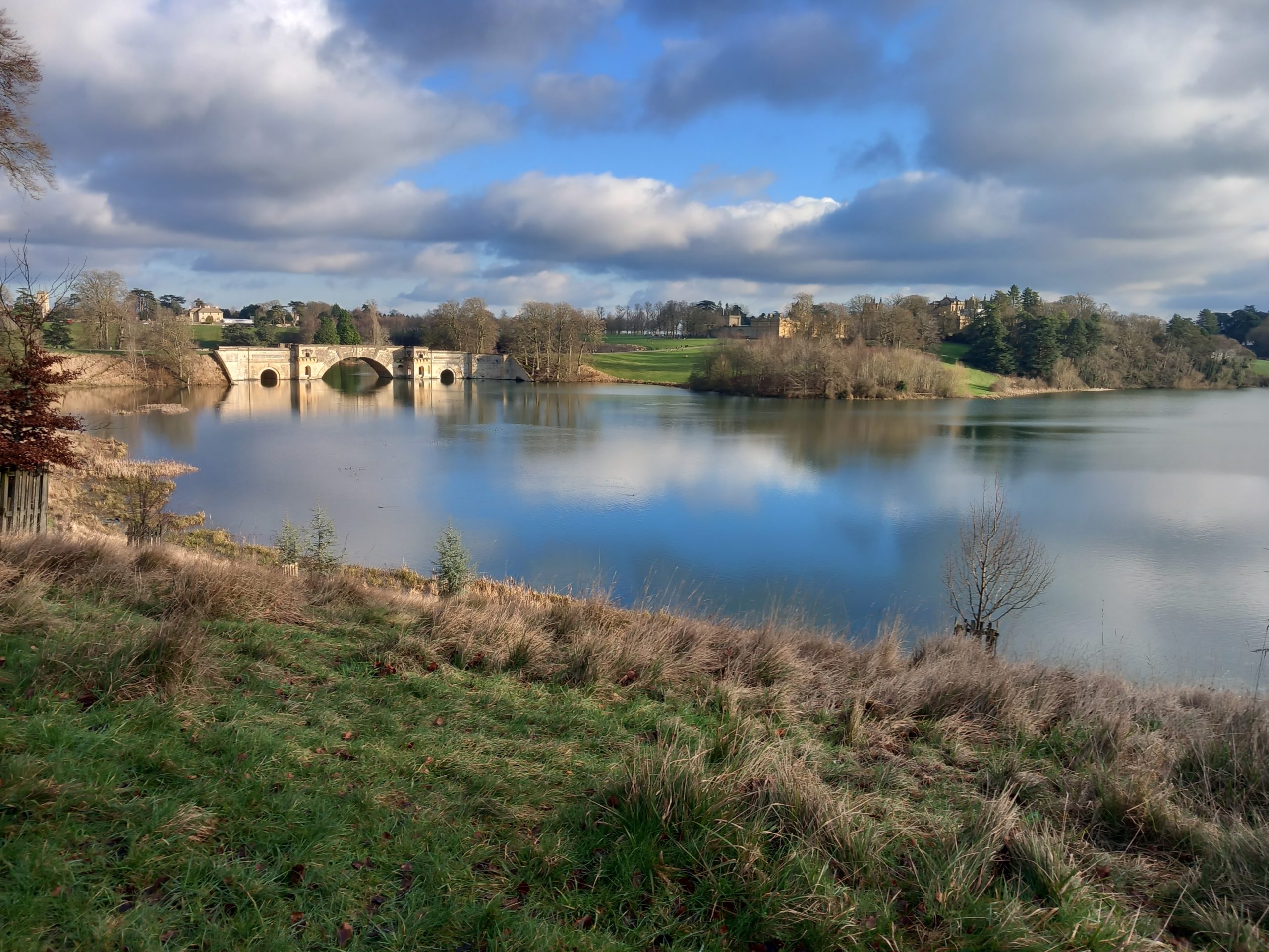 Blenheim for Free