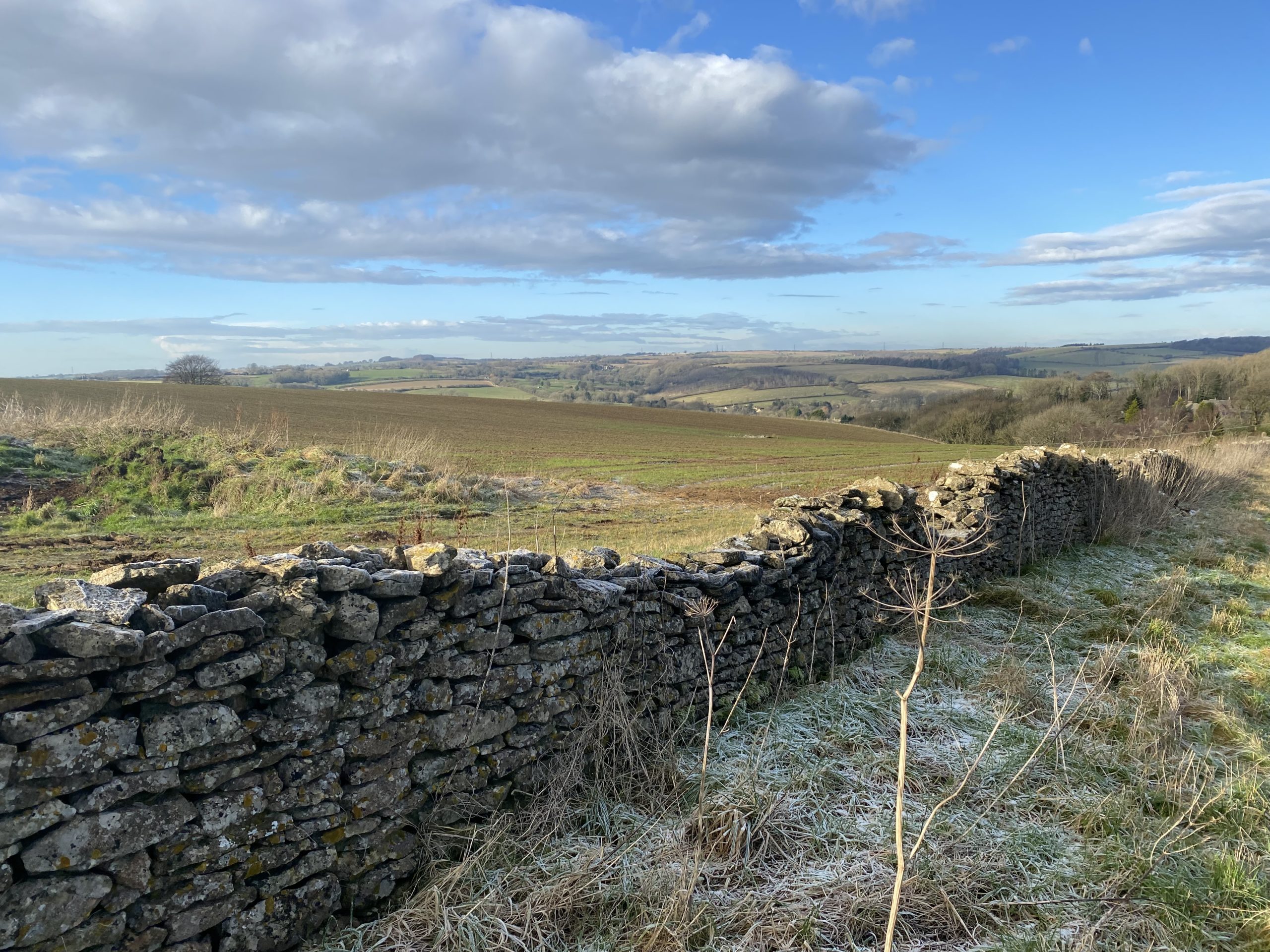 Up Hill Down Dale