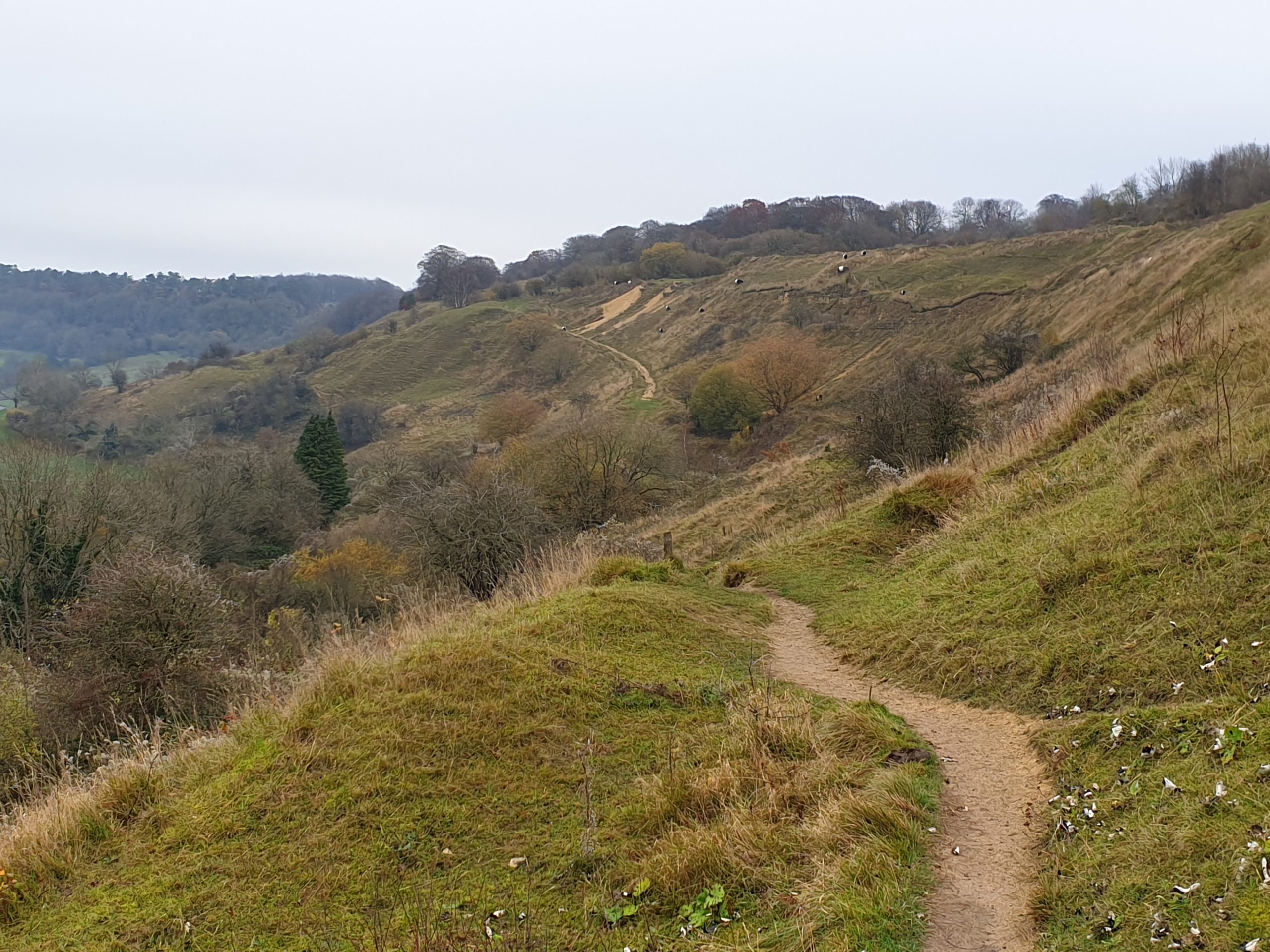 Shorter and Steadier 23 - Crickley Hill