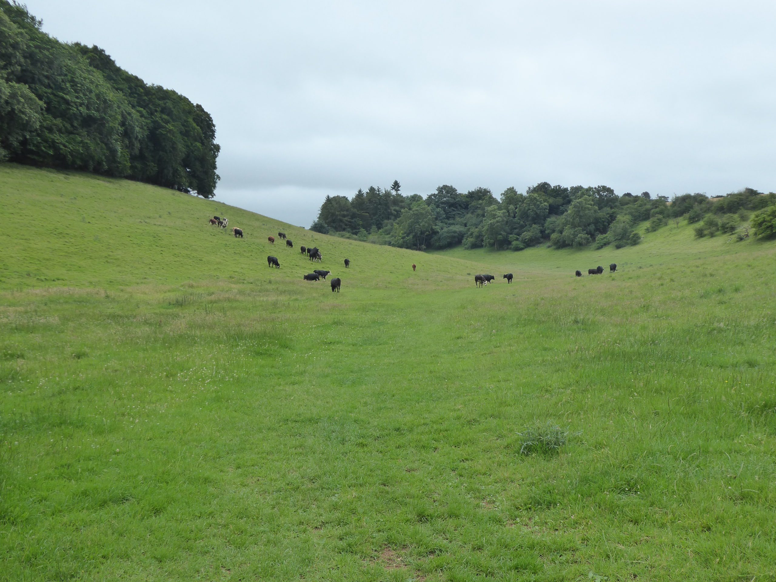 Blockley and the Beautiful Hinchwick Valley