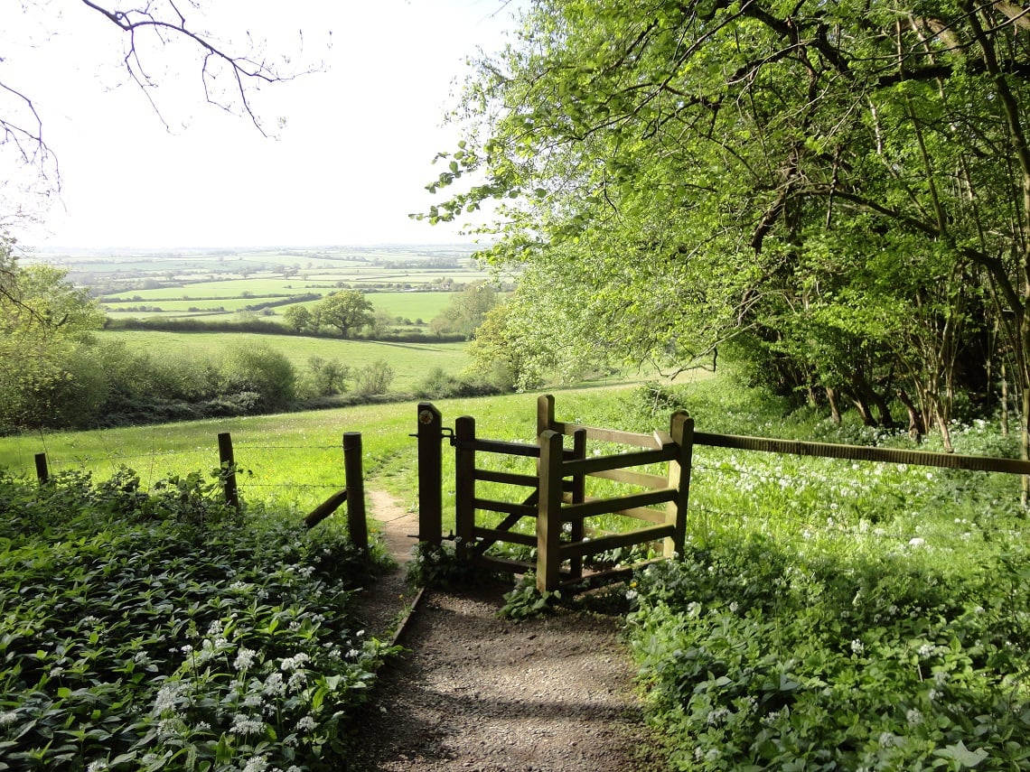 Dyrham Circular