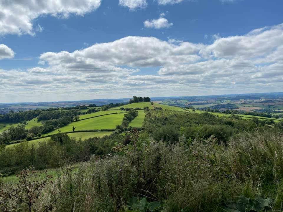 A Mid-summer ascent of Kelston Roundhill