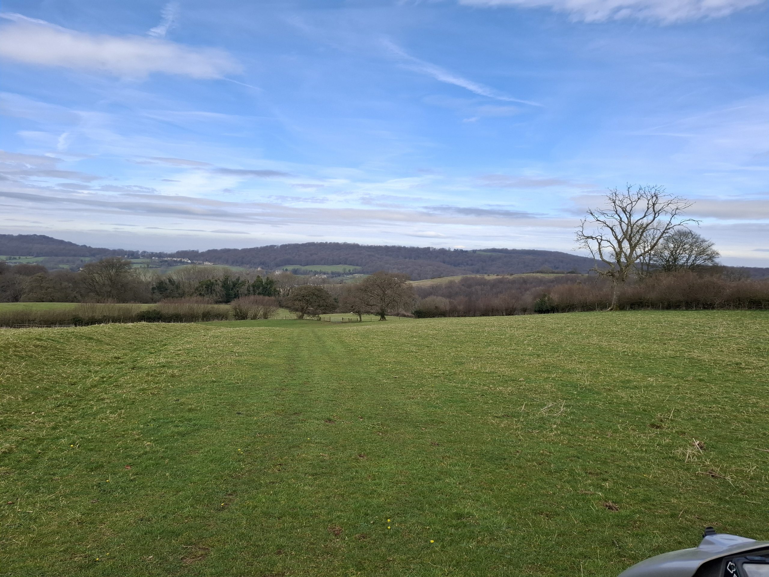 An energetic scenic ramble with Commons and Beechwoods 