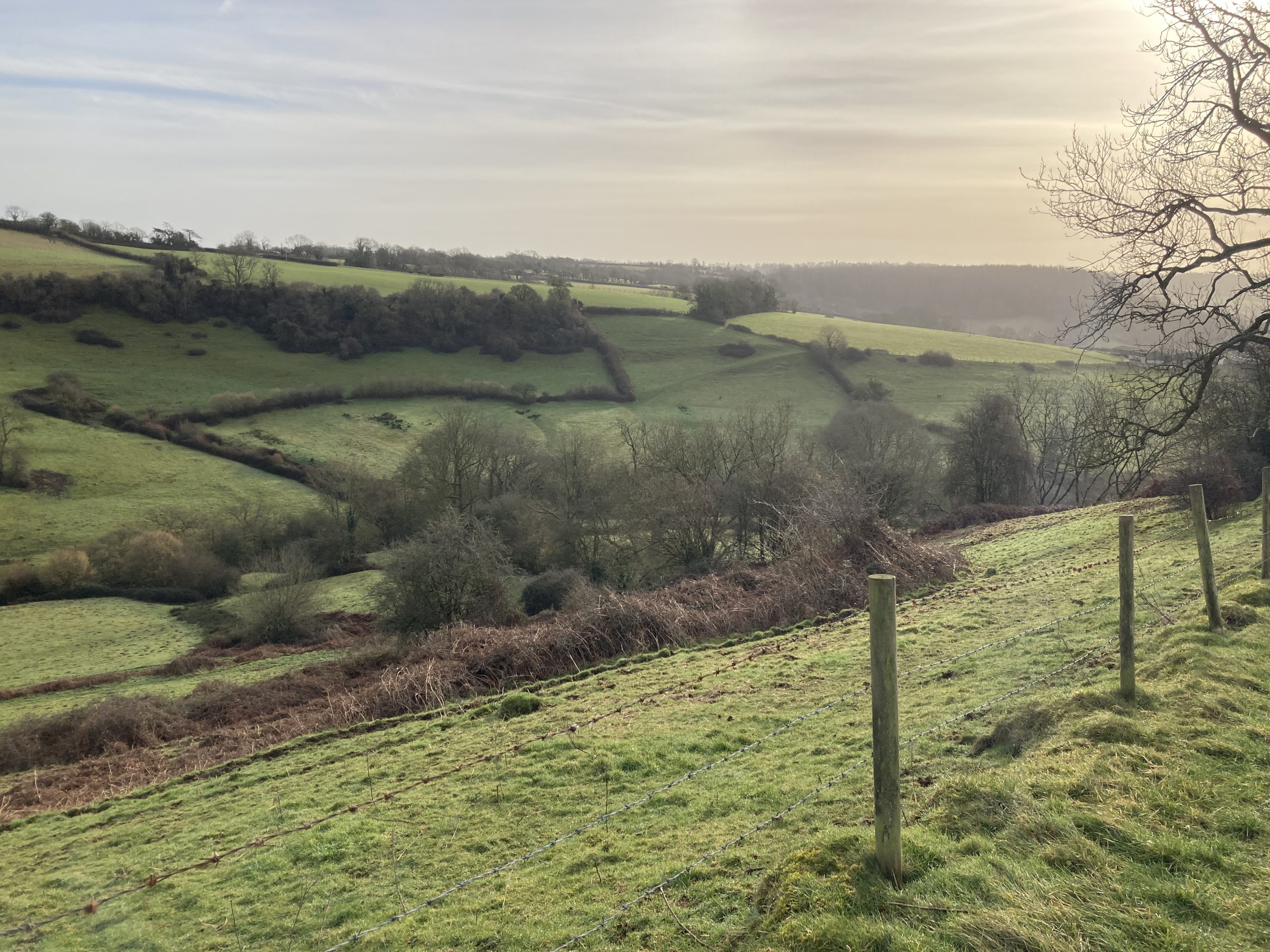 Circuit of St Catherine’s Valley