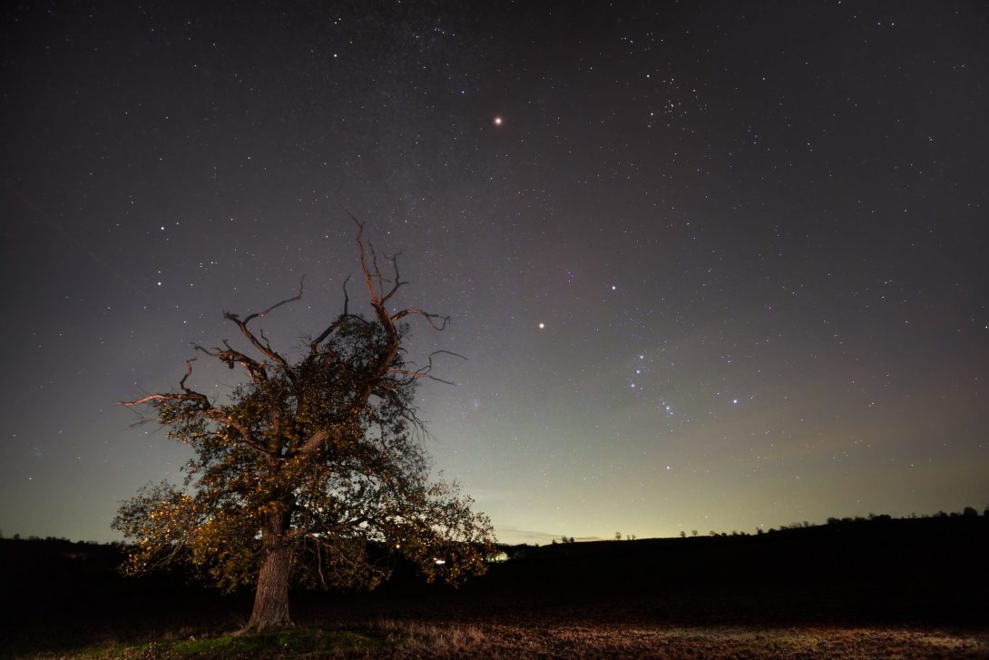 Image is astrophotography of the Orion constellation, in the skies above Tysoe. Image credit: Tom Ward.