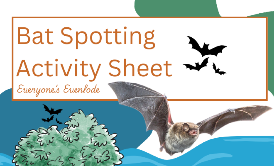 Image is a thumbnail image for the bat spotting activity sheet