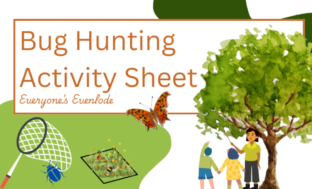 Image is a thumbnail for the bug hunting activity sheet