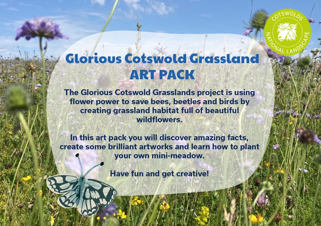 Image is a thumbnail of the front cover of the 2021 GCG arts pack