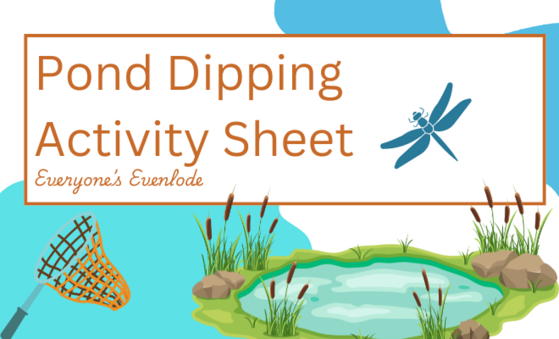 Image is a thumbnail for the pond dipping activity sheet