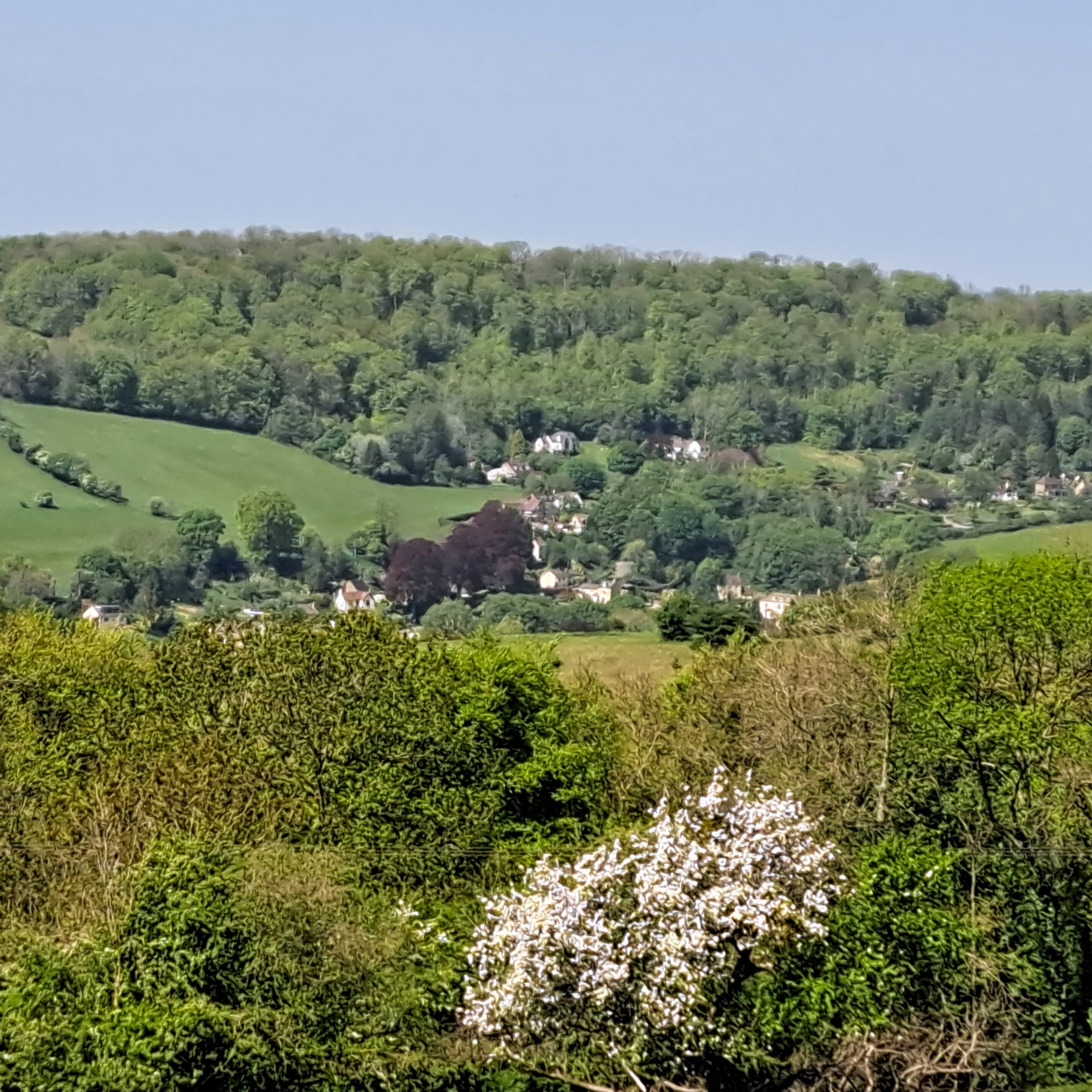 Friday Foray - Swift’s Hill &amp; Catswood