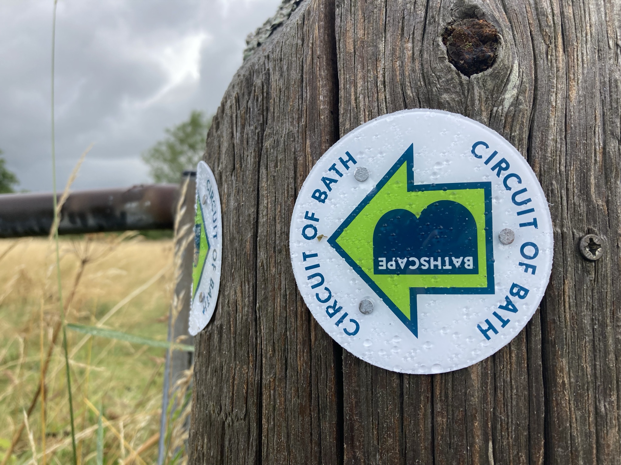 Images shows a Circuit of Bath waymarking disc.