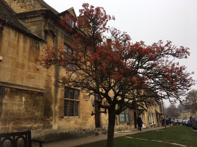 Dover’s Hill to Chipping Campden Circular