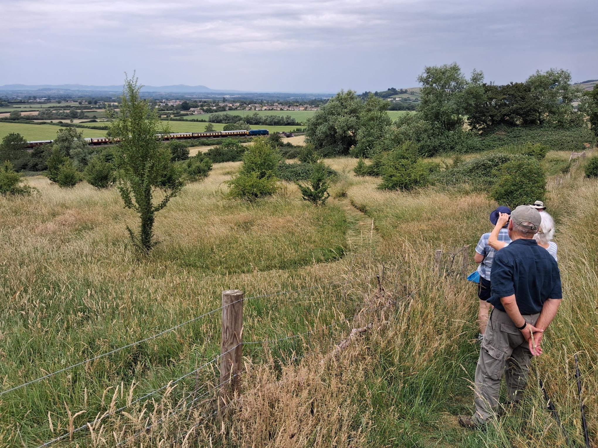 An Evening Walk in Woodmancote