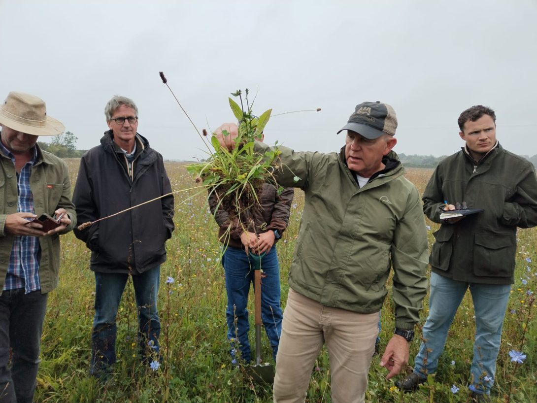 Image shows a man holding up a plant with a healthy root system to demonstrate soil health.
