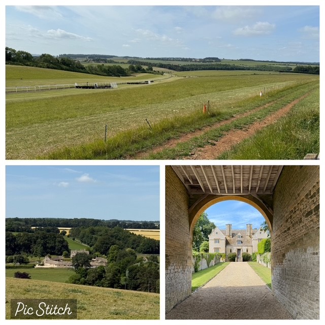 Firm Trails and Far Views