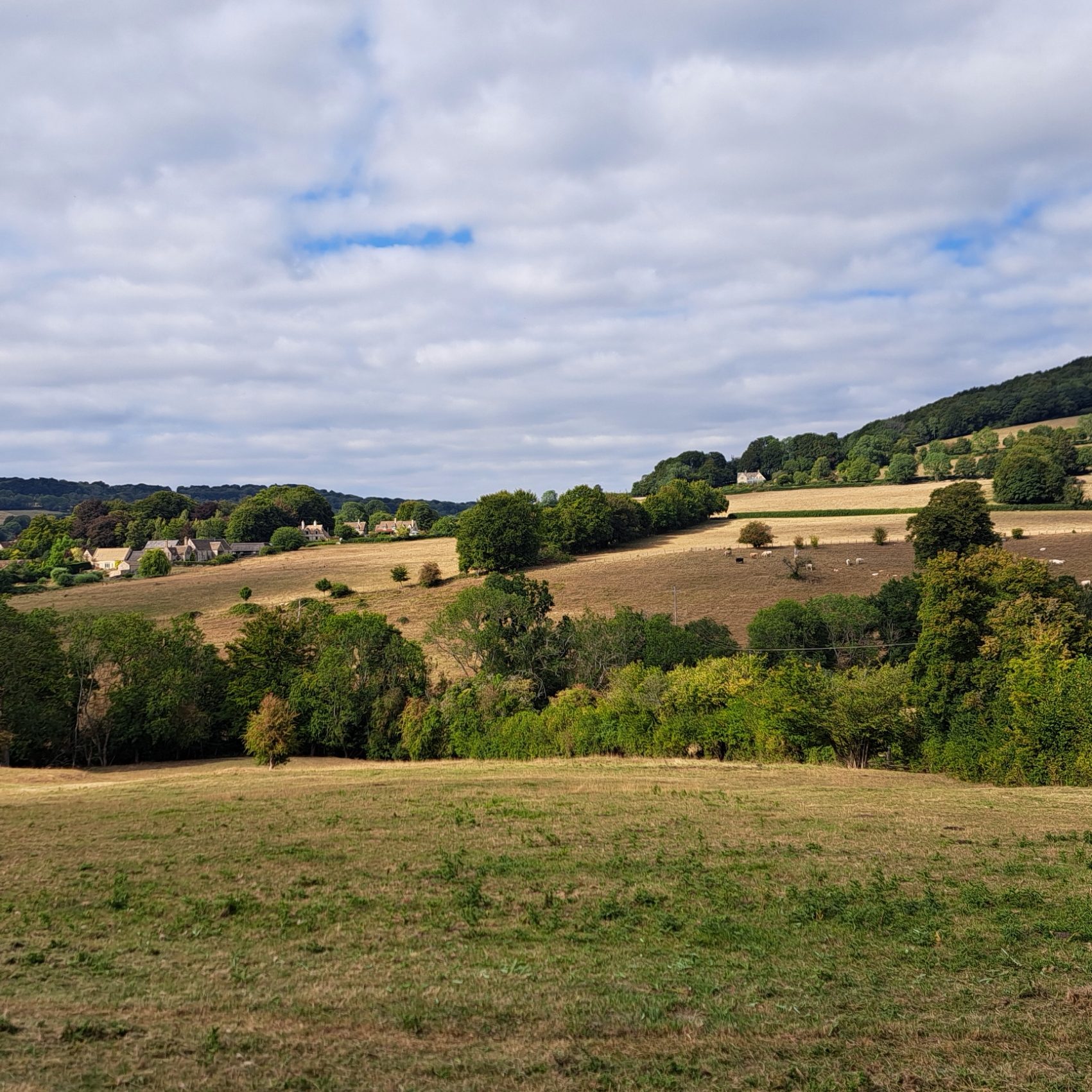 Across Painswick valley to Sheepscombe