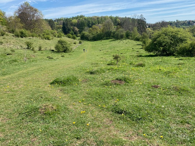 Along the Frome Valley and its nature reserves.