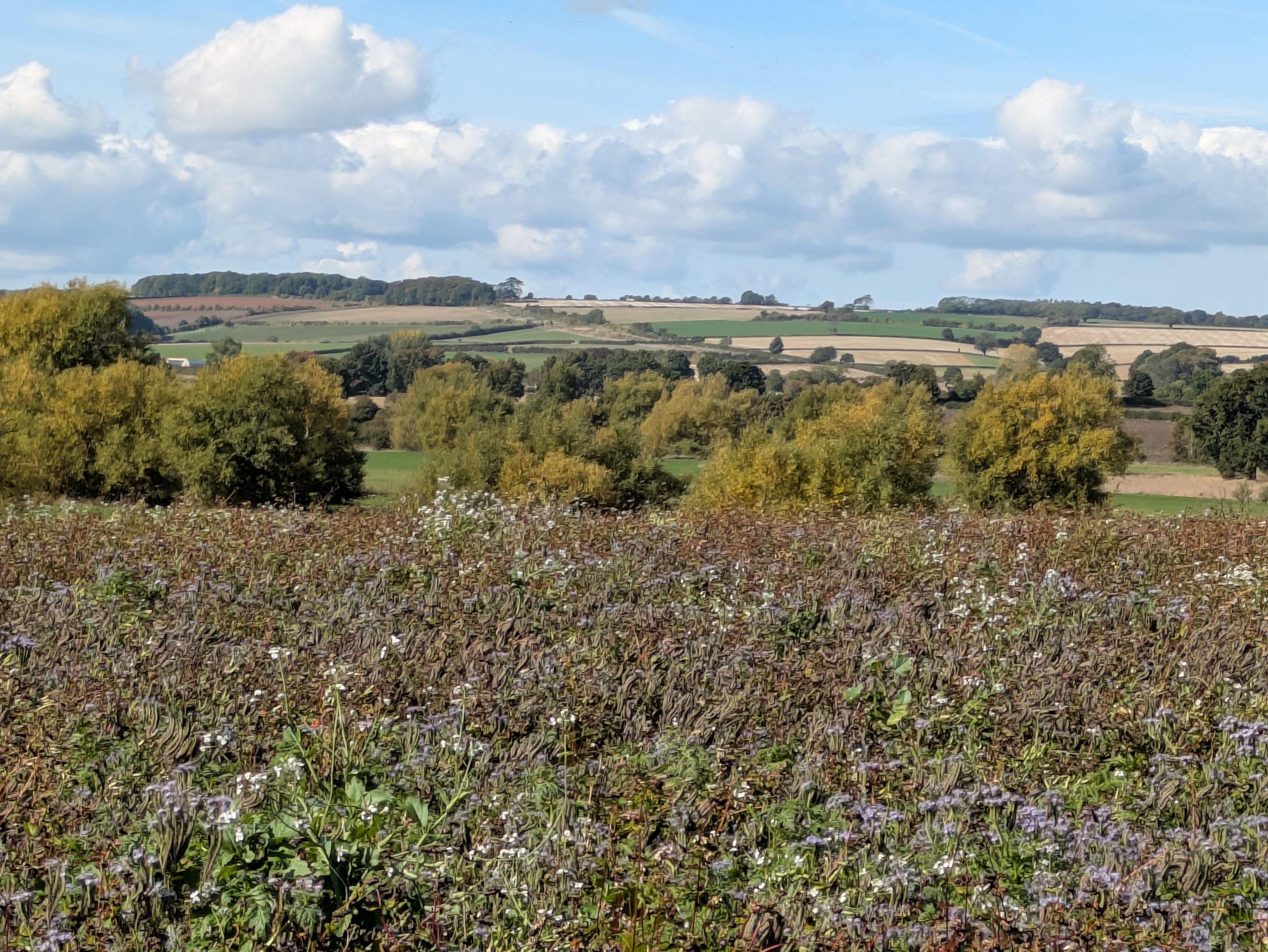Chadlington, Spelsbury and beyond