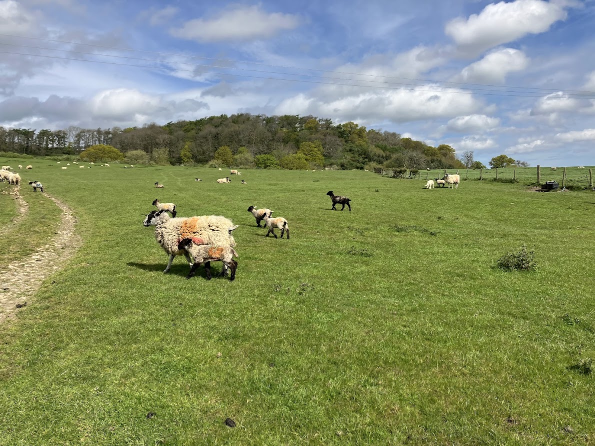 Alderton around Dumbleton Hill