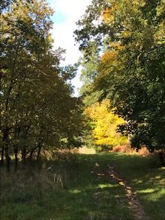 Autumn Colours in the Evenlode Valley
