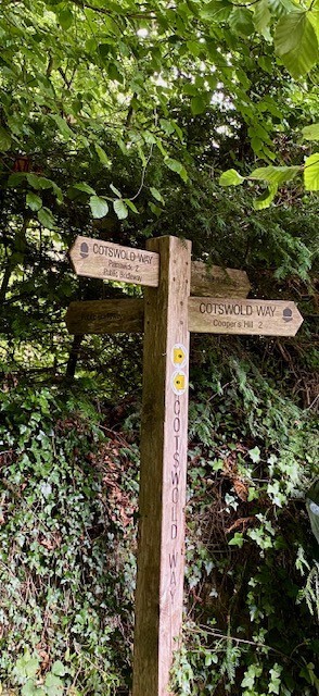 Blow away the Yuletide cobwebs! Painswick Beacon walk with views across the Vale of Severn.