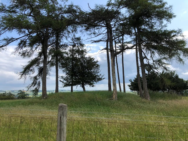 As Crafty as a Kilkenny Fox(cote) 