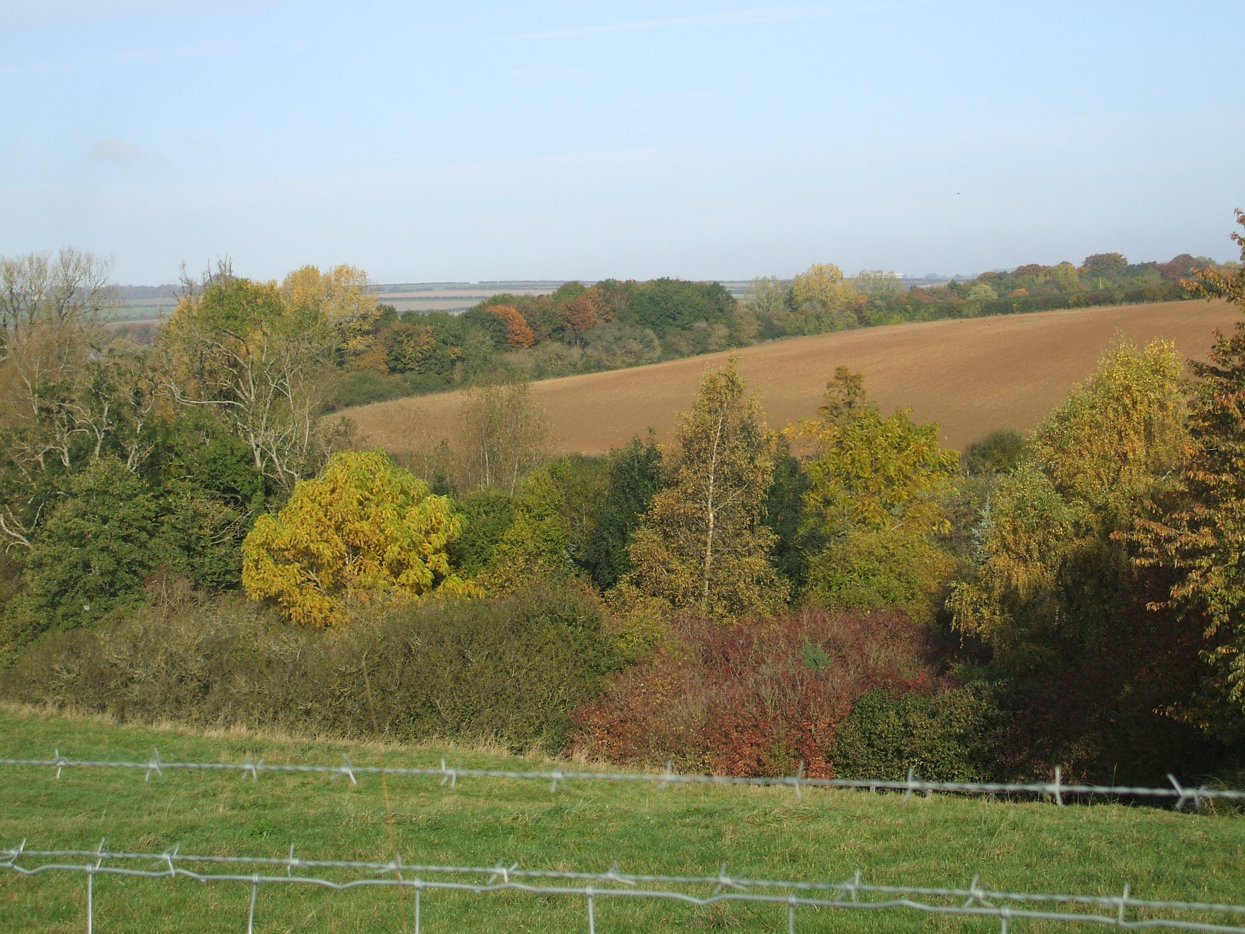 CNL60/Virtuous and Mysterious