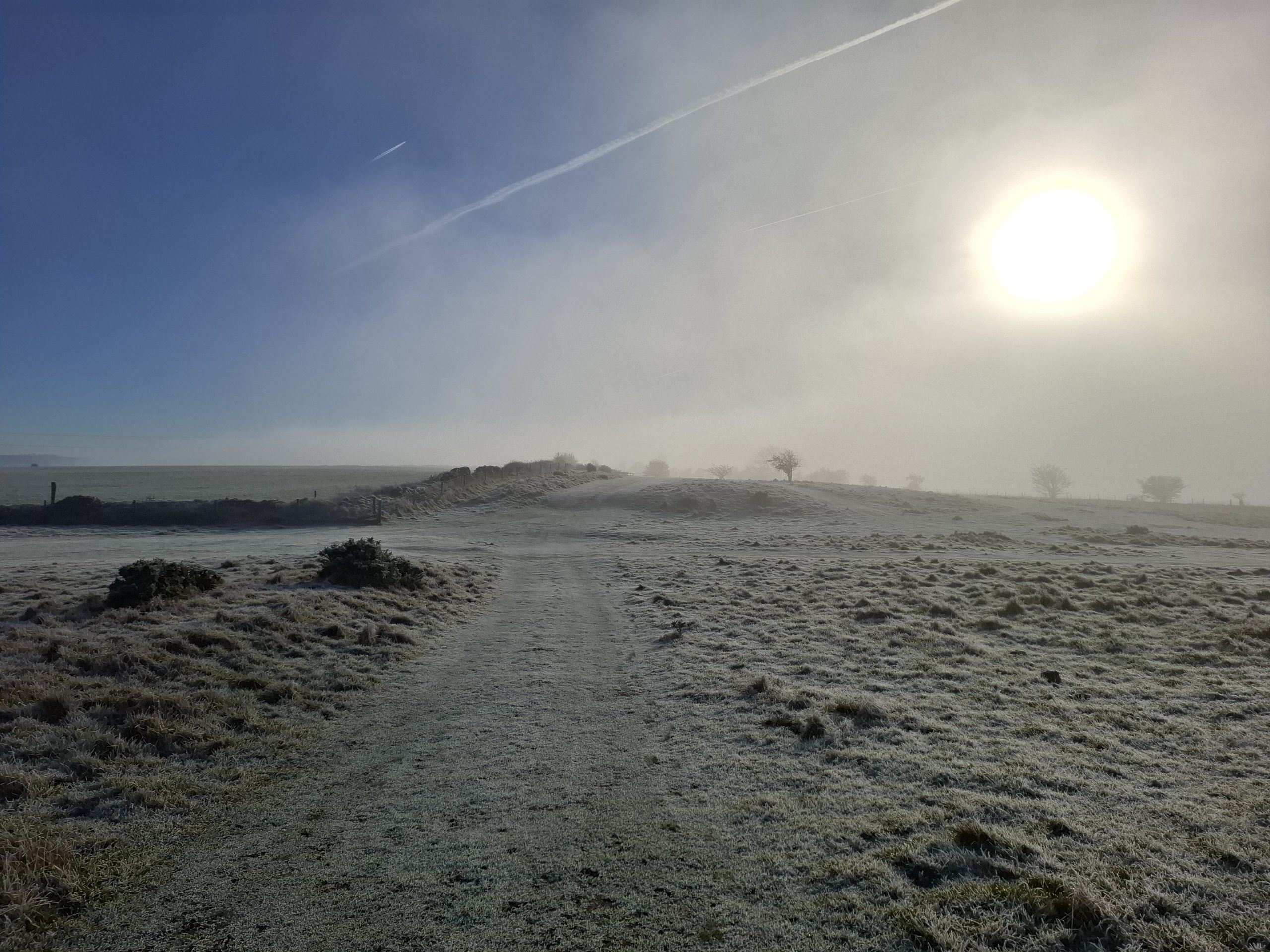 Shorter and Steadier 1 2026. Cleeve Common -CANCELLED