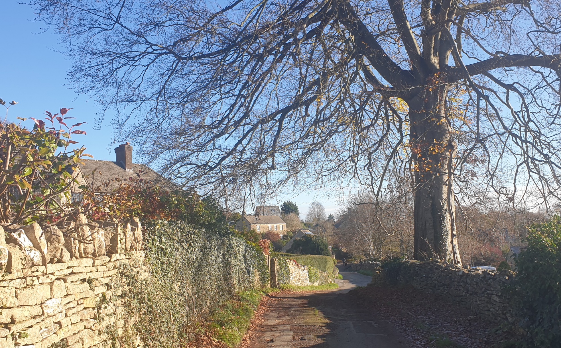Villages of the Golden Valley