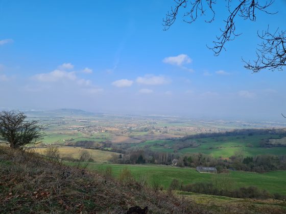 Five grants awarded!