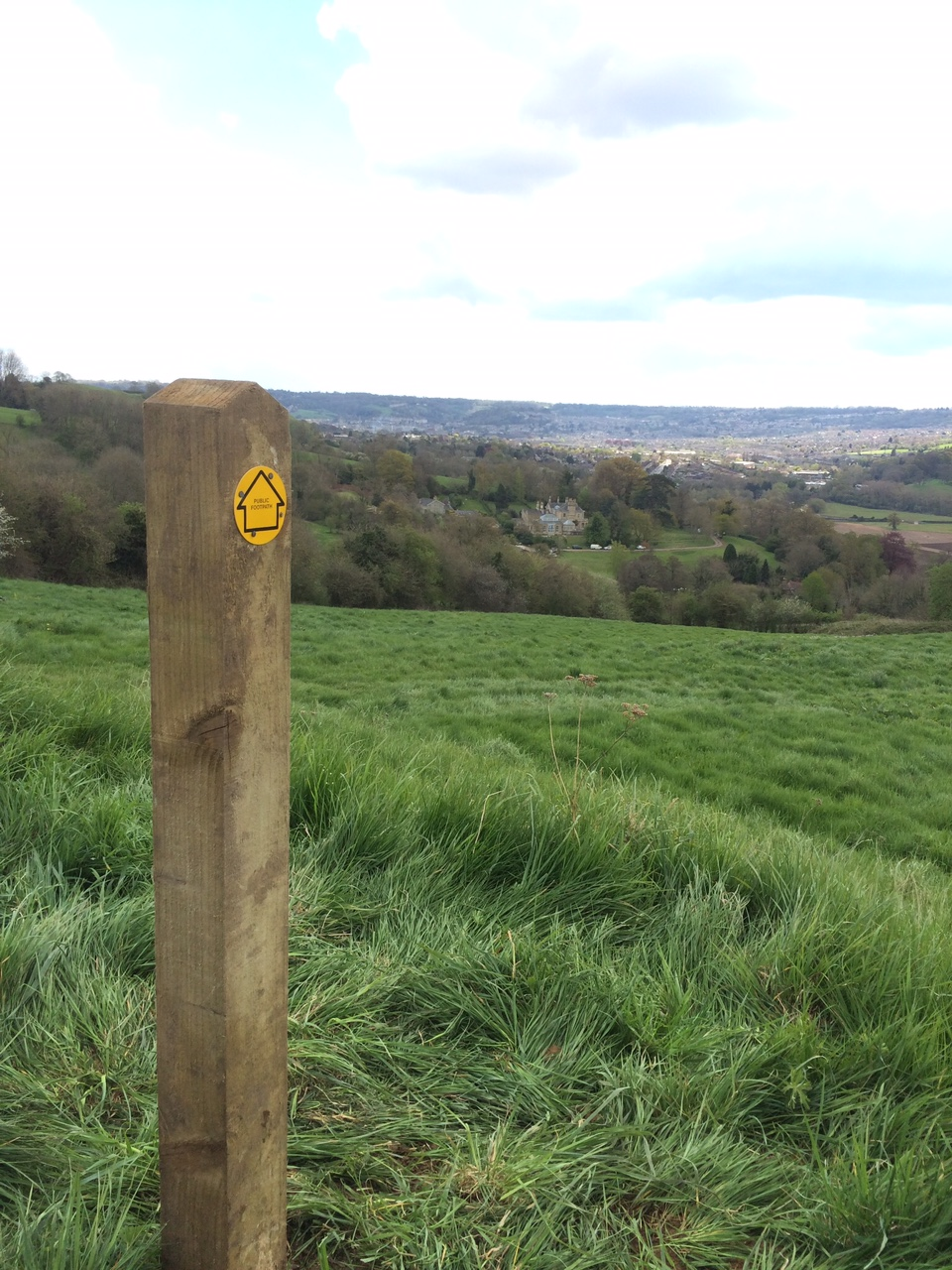 Cake and Cheese with a River and Hill in the middle