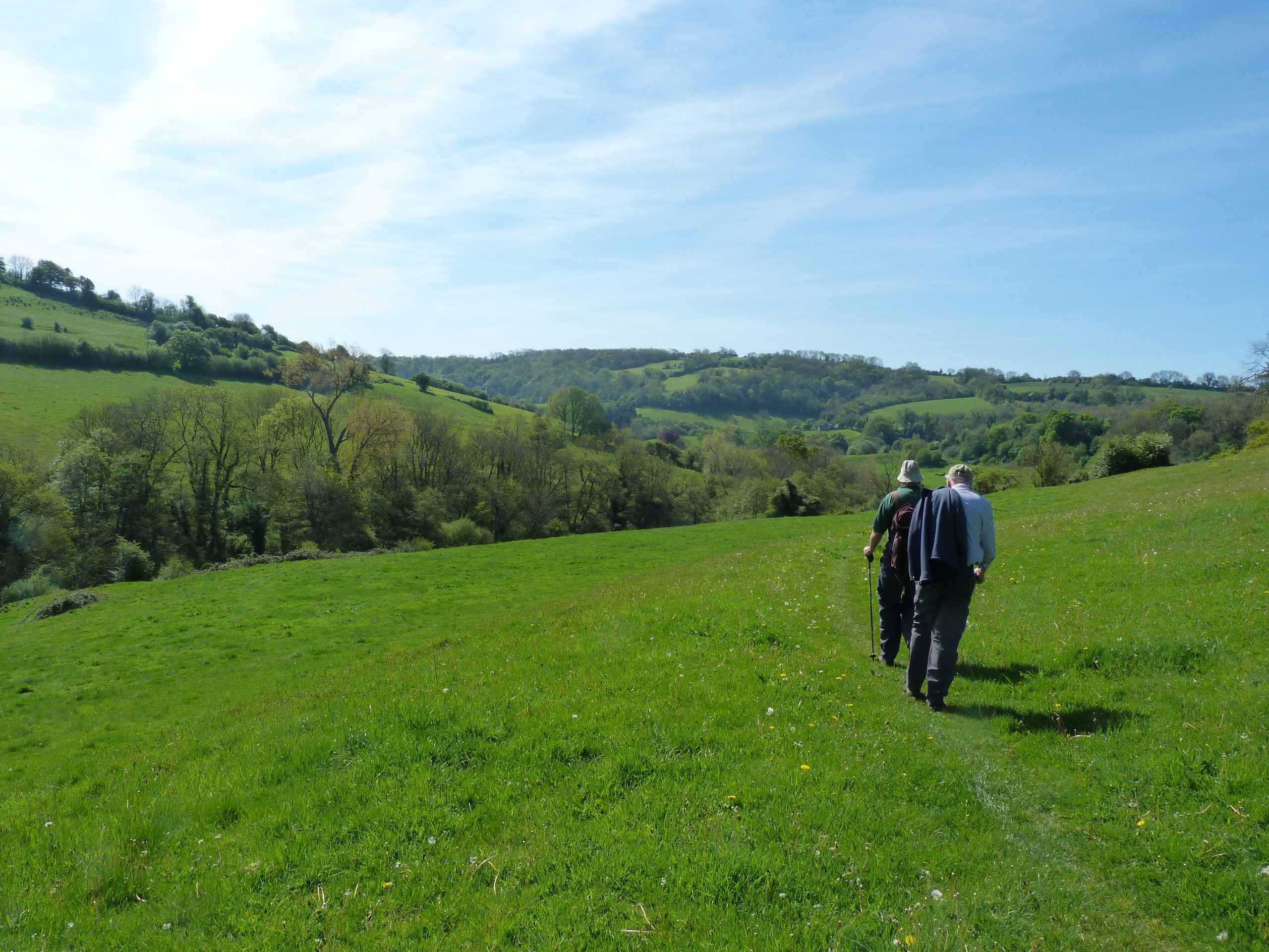 A Link and some Downs